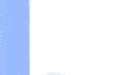 社会热点事件素材 明星视频在线观看